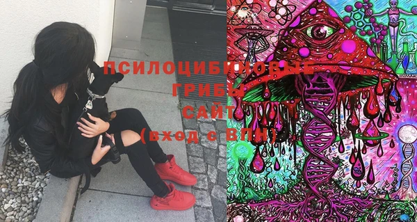 амфетамин Богородск