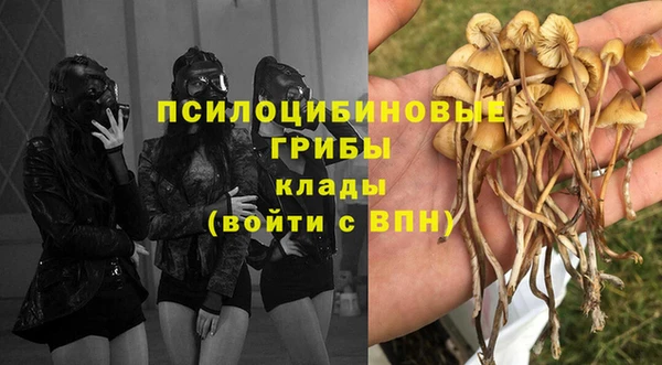 прущие крисы Богданович