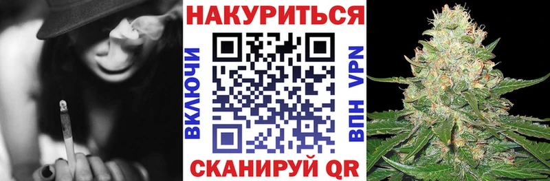 Шишки марихуана семена  где продают   Кирсанов 